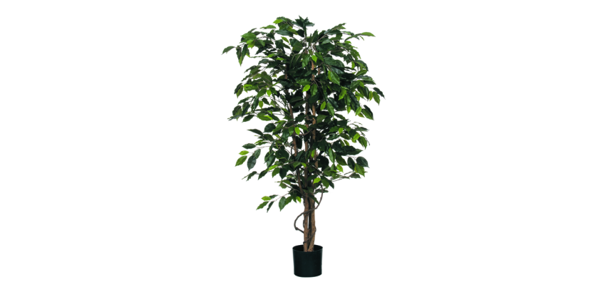 Plante artificielle Mica Ficus verte en pot plastique Ø85cm 150cm