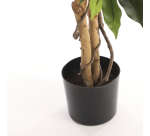 Plante artificielle Mica Ficus verte en pot plastique Ø85cm 150cm