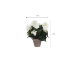 Plante artificielle Mica Begonia blanc pot Stan gris D11,5cm Ø25cm 30cm