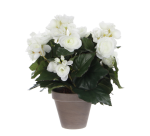 Plante artificielle Mica Begonia blanc pot Stan gris D11,5cm Ø25cm 30cm