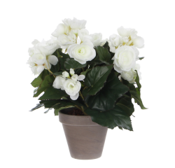 Plante artificielle Mica Begonia blanc pot Stan gris D11,5cm Ø25cm 30cm