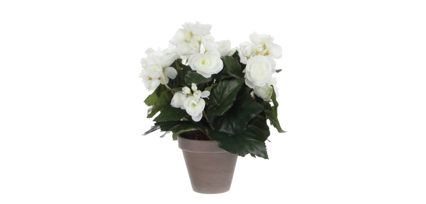 Artificial plant Mica Begonia white pot Stan gray D11.5cm Ø25cm 30cm