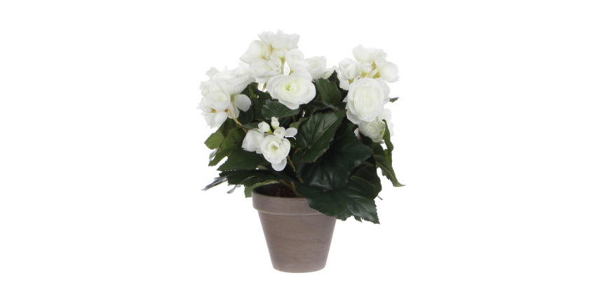 Plante artificielle Mica Begonia blanc pot Stan gris D11,5cm Ø25cm 30cm