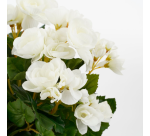 Plante artificielle Mica Begonia blanc pot Stan gris D11,5cm Ø25cm 30cm