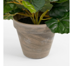 Plante artificielle Mica Begonia blanc pot Stan gris D11,5cm Ø25cm 30cm