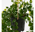 Plante artificielle Mica Ficus suspendue en pot vert Ø20 46cm