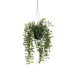 Plante artificielle Mica Ficus suspendue en pot vert Ø20 46cm
