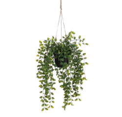 Plante artificielle Mica Ficus suspendue en pot vert Ø20 46cm