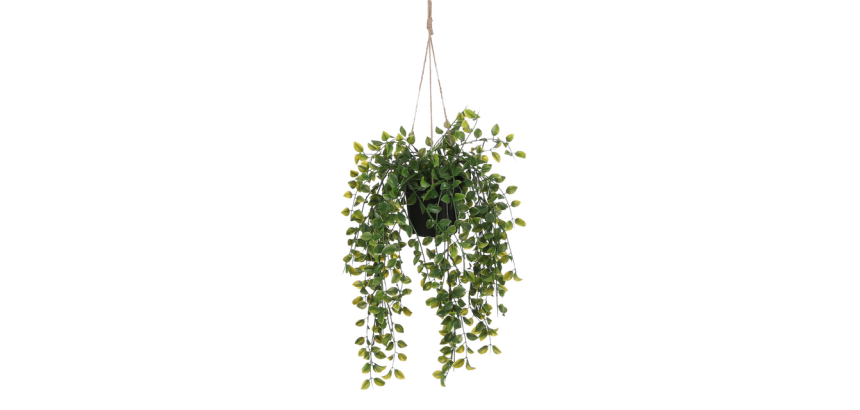 Plante artificielle Mica Ficus suspendue en pot vert Ø20 46cm