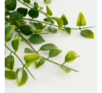 Plante artificielle Mica Ficus suspendue en pot vert Ø20 46cm