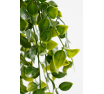 Plante artificielle Mica Ficus suspendue en pot vert Ø20 46cm