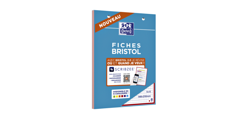 Flashcard Bristol Oxford A5 30 fiches bristol 210g carreau 5mm assorti