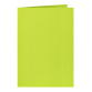 Carte de correpondance Papicolor double 105x148mm vert pomme