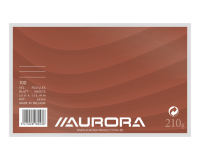 Fiche Système Aurora 200x125mm ligné + marge en-tête rouge 210g blanc 100 feuilles