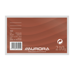 Fiche Système Aurora 130x80mm ligné + marge en-tête rouge 210g blanc 100 feuilles