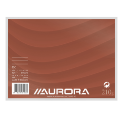 Fiche Système Aurora 200x150mm ligné + marge en-tête rouge 210g blanc 100 feuilles