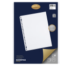 Multo A4 Folder 23 Holes PP 0.08mm Textured 10 Pieces