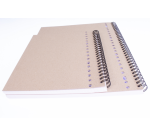 Collegeblok Multo A4 ruit 10x10mm 23-gaats 160 pagina's 80gr wit