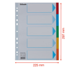 Esselte Standard A4 Divider, 5 Tabs, 11-Hole Assorted Cardboard