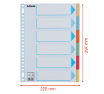 Tabbladen Esselte Premium A4 6-delig karton 23-rings assorti