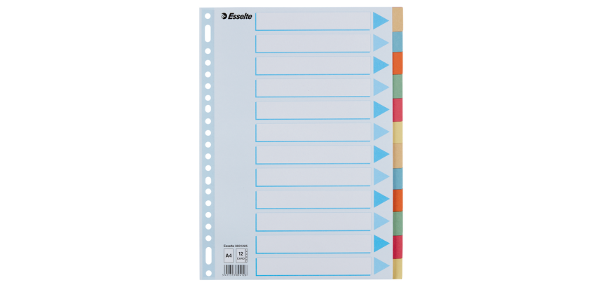 Esselte Premium Divider A4 12 Tabs 23-Hole Assorted Cardboard