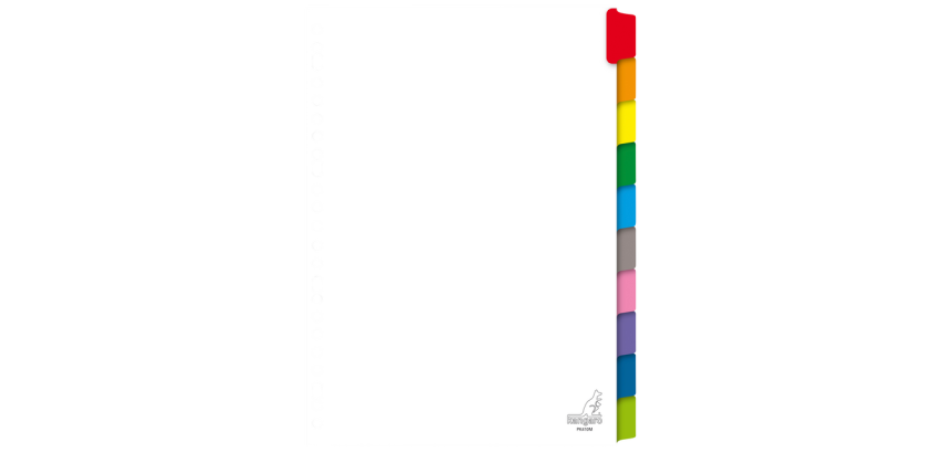 Kangaro PK410M A4 Divider 23 holes 10 tabs white cardboard