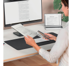 Pince agrafeuse Rapid 1DX 24/6 50 feuilles chrome