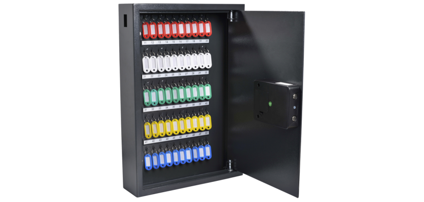 Armoire à clés Pavo Haute Sécurité 50 crochets 550x400x100mm