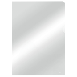 EN_B.100XPOCH.COIN PP LISSE COPYS