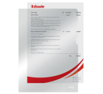 Insteekmap L-model Esselte standaard copy safe 0.11mm PP  A4 transparant 10 stuks