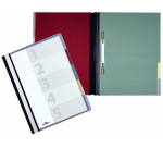 Durable Divisoflex A4 Blue Organizer File