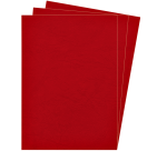 Couverture Fellowes A4 similicuir rouge 100 pièces