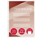 GBC A4 Laminating Pouch + 4 Holes 2x125 Microns 25 Pieces