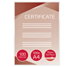 Plastiklaminiertaschen GBC A4 2x100 Mikron 100 Stück