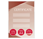 Lamineerhoes GBC A4 2x175micron 100 stuks