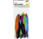Plumes d'indien Folia assorti