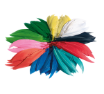 Plumes d'indien Folia assorti