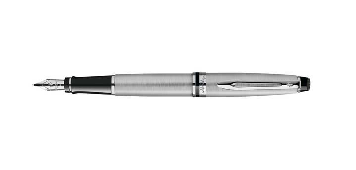 Waterman Expert Stainless Steel CT Medium Fountain Pen