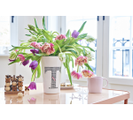 Pinselstift edding 4200 Porzellan warme Farben sortiert Etui 6 Stück