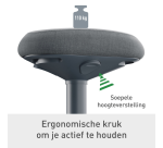 Leitz Ergo Active stool with comfortable seat