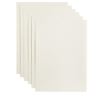 Papier copieur Papicolor A4 100g blanc 12 feuilles