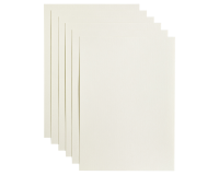 Papier copieur Papicolor A4 100g blanc 12 feuilles