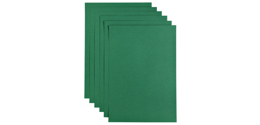 Papicolor A4 100g Copier Paper 12 Sheets Fir Green