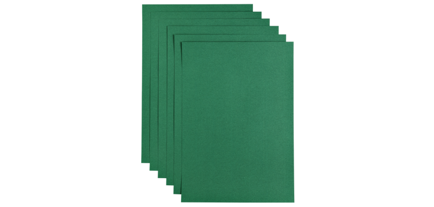 Papicolor A4 100g Copier Paper 12 Sheets Fir Green