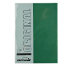 Papicolor A4 100g Copier Paper 12 Sheets Fir Green