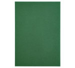 Papicolor A4 100g Copier Paper 12 Sheets Fir Green