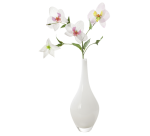 Transparant papier Folia A4 115gr 10 vel wit