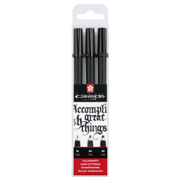 Set calligraphie Sakura Pigma 3 largeurs noir