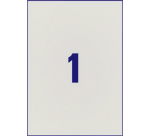 Etiquette Avery L6013-20 210x297mm argent 20 pièces