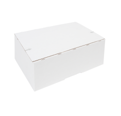 Postpakketbox IEZZY 2 200x140x80mm wit